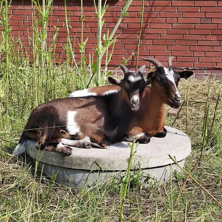 Urlaub Holthusen